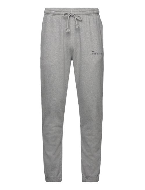 HALO | Halo Essential Sweatpants | S