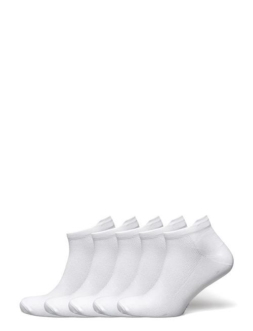 ZEBDIA | 5-Pk Ancle Running Socks | 43-46