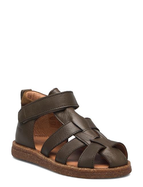 Se ANGULUS | Sandals - Flat  - Closed Toe | 24 ved Booztlet