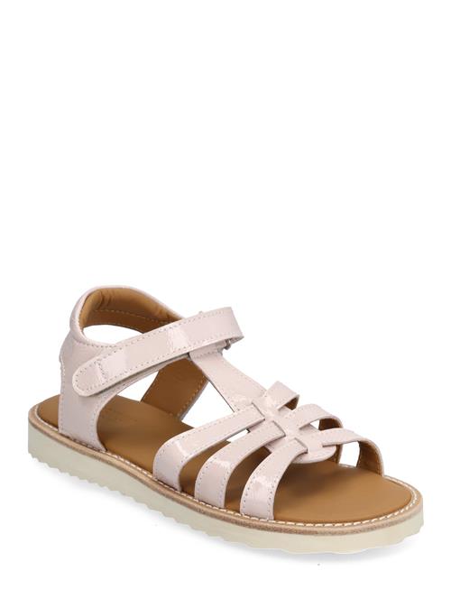 ANGULUS | Sandals - Flat  - Open Toe - Op | 30