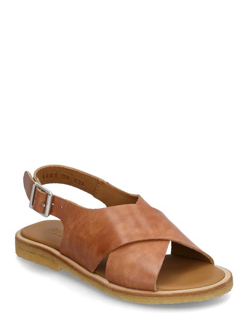 ANGULUS | Sandals - Flat  - Open Toe - Op | 36