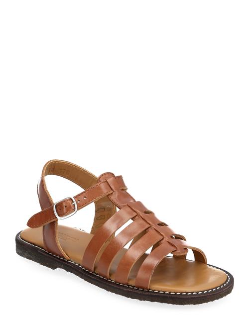 ANGULUS | Sandals - Flat  - Open Toe - Op | 36-23.7CM