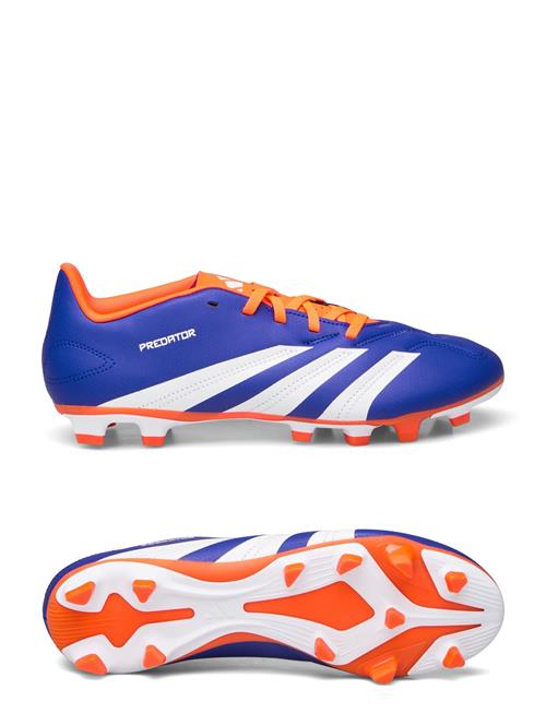 adidas Performance | Predator Club Football Boots Flexible Ground | 43 1/3