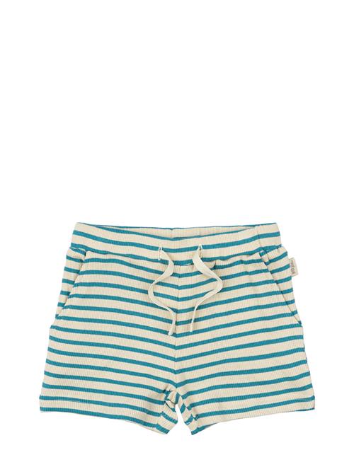 Petit Piao | Shorts Modal Striped | 68