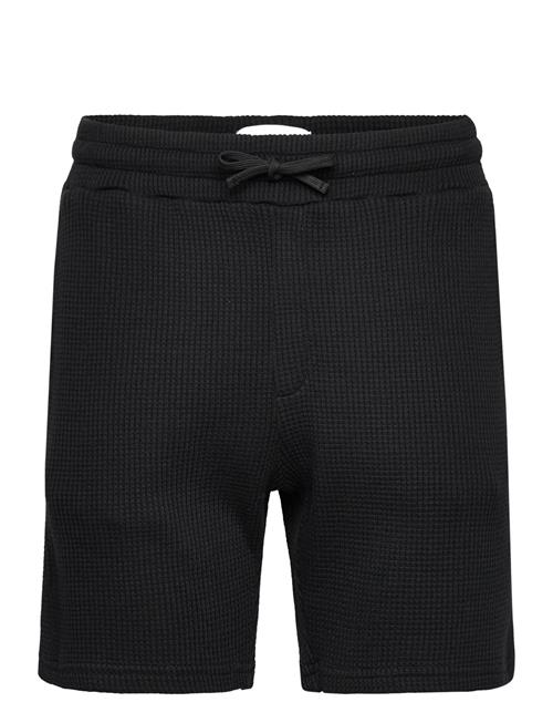 Nikben | Waffle Nero Shorts | S