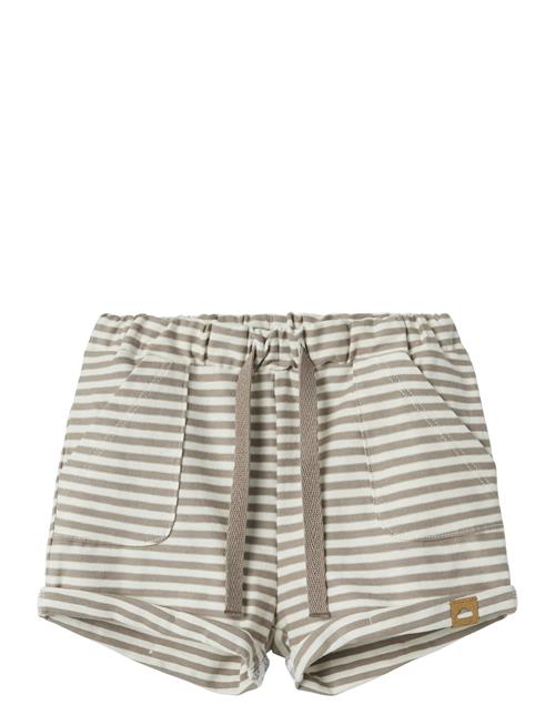 name it | Nbmfillo Shorts | 56