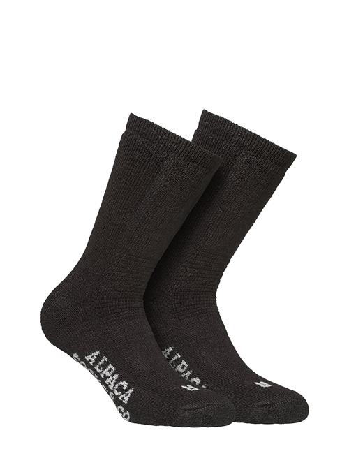 Alpacasocks&Co | Alpacasocks 2-Pack | 45-48