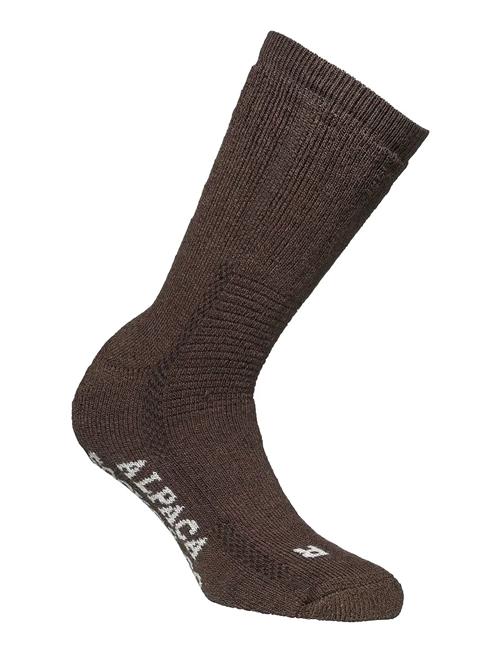 Alpacasocks&Co | Alpacasocks 2-Pack | 42-45