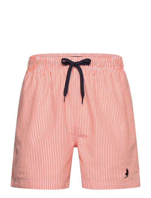 MCS | Mcs Swimshorts Irving Men | L