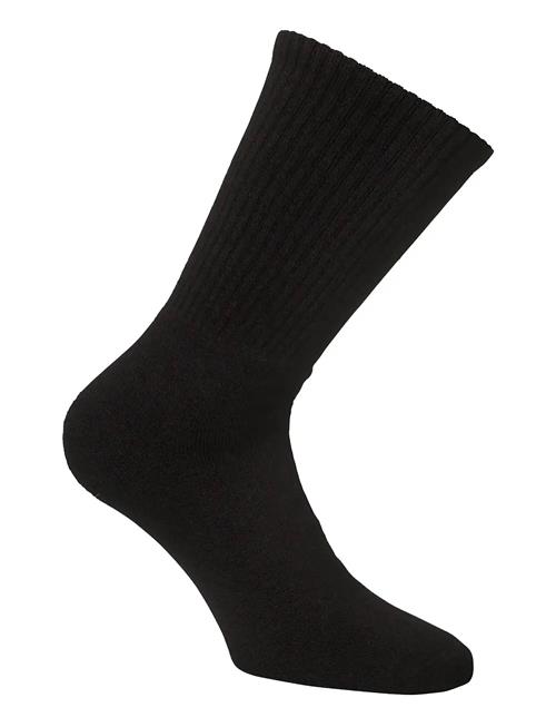 Alpacasocks&Co | Merino Casual 2-Pack | 45-48