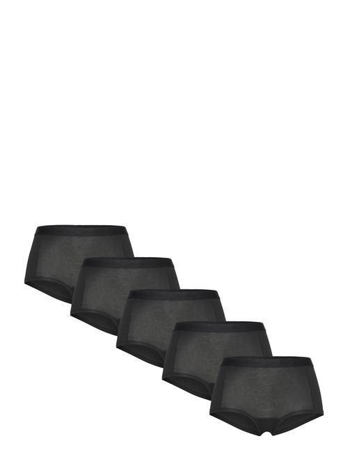 Björn Borg | Everyday Cotton Boxer Shorts 5P | M