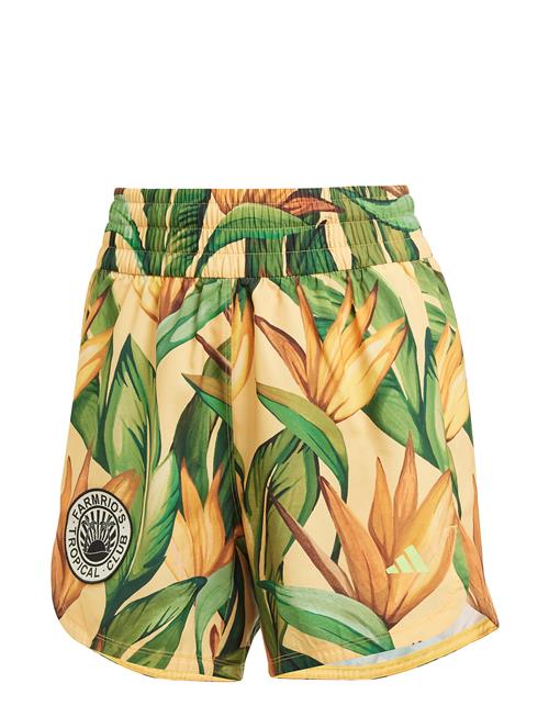 adidas Performance | Farm Shorts | XS