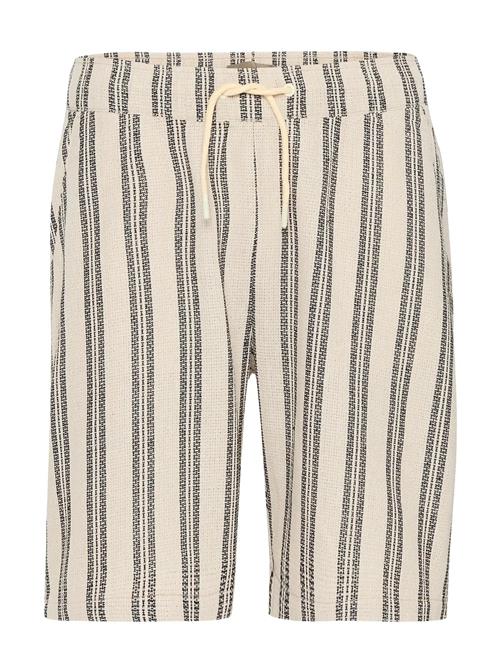 Blend | Bhmorgan Shorts | XXL
