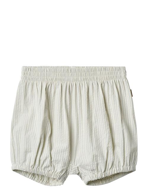 Wheat | Shorts Ollie | 68