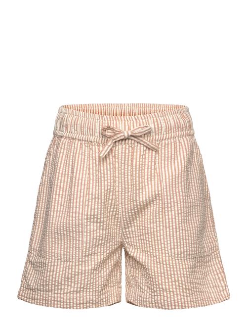 The New | Tnollie Shorts | 158/164