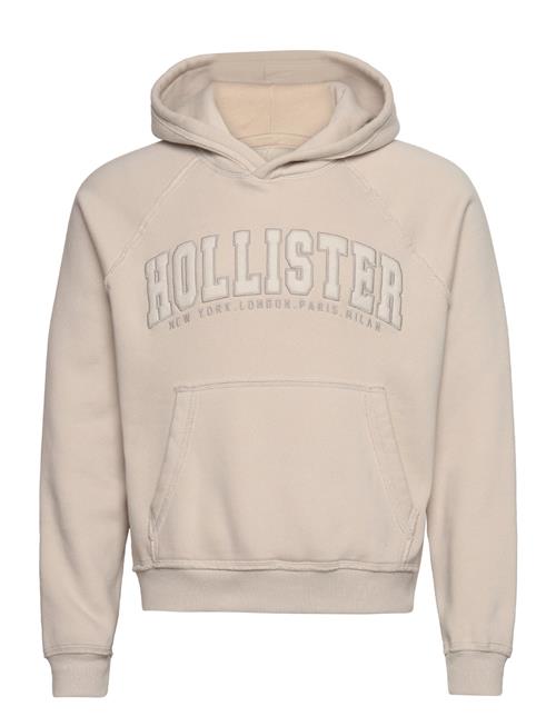Hollister | Hco. Guys Sweatshirts | XL
