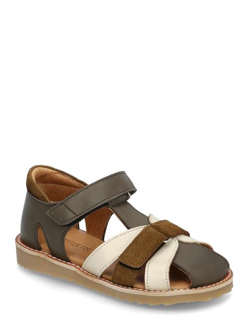 ANGULUS | Sandals - Flat  - Closed Toe | 32