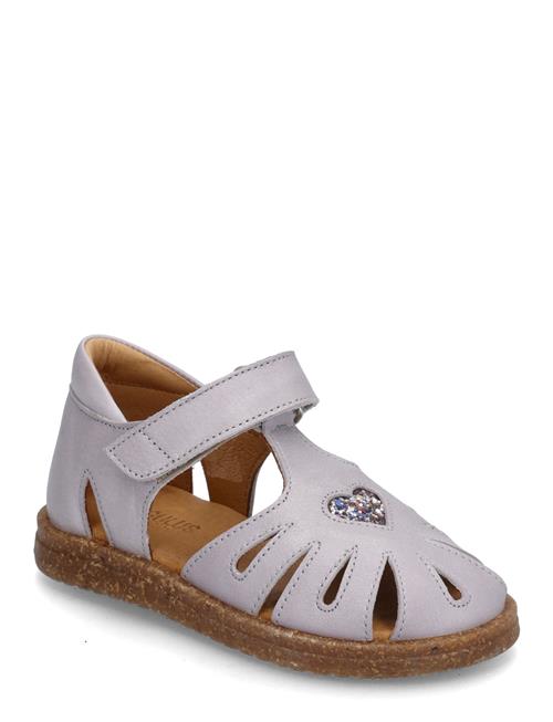 ANGULUS | Sandals - Flat  - Closed Toe | 24