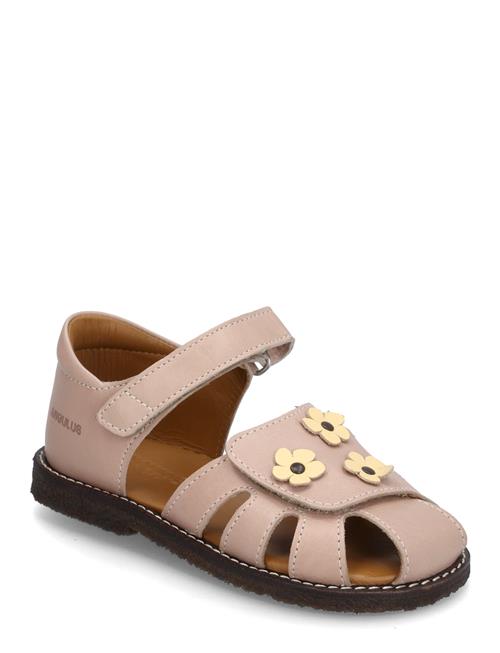 ANGULUS | Sandals - Flat  - Closed Toe | 20