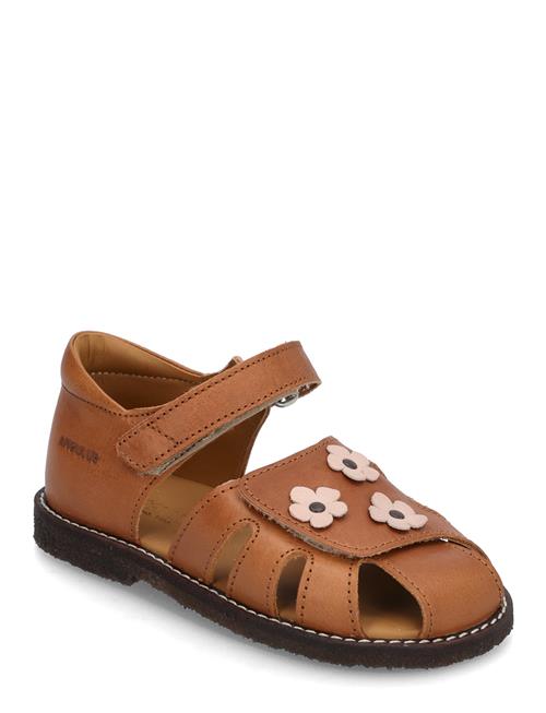 ANGULUS | Sandals - Flat  - Closed Toe | 23