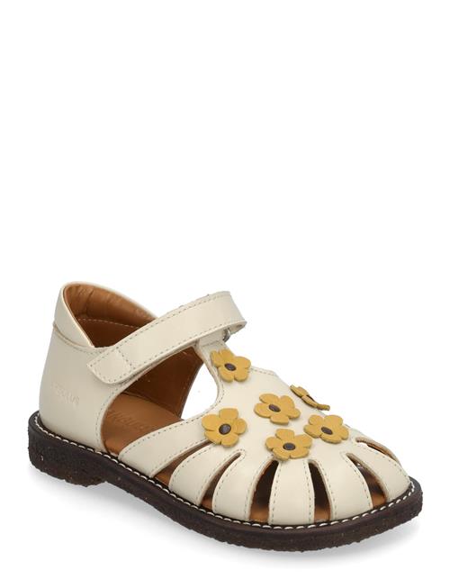 ANGULUS | Sandals - Flat  - Closed Toe | 24