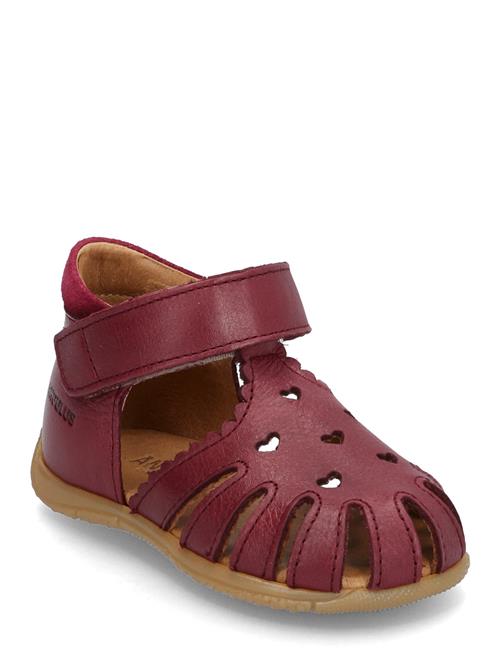 ANGULUS | Sandals - Flat  - Closed Toe | 21