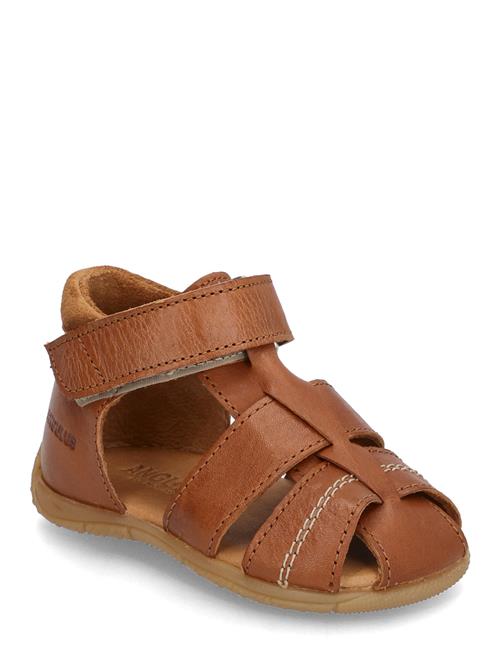 ANGULUS | Sandals - Flat  - Closed Toe | 23