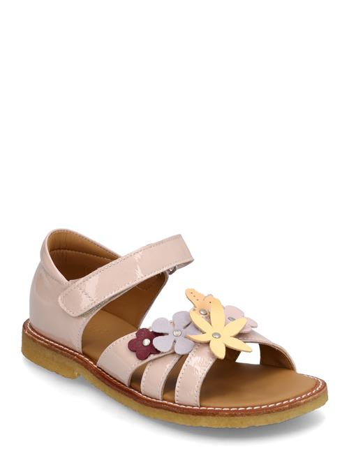 ANGULUS | Sandals - Flat  - Open Toe - Clo | 31