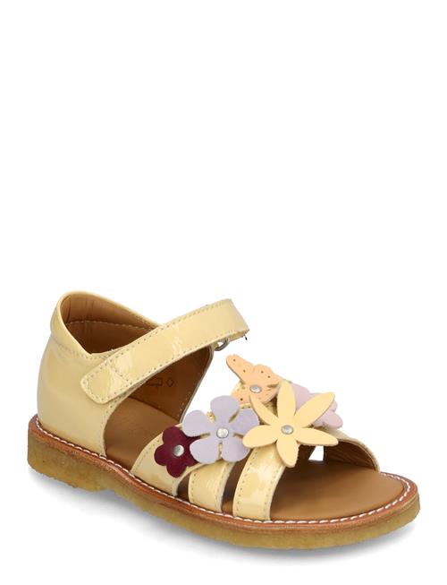 ANGULUS | Sandals - Flat  - Open Toe - Clo | 26
