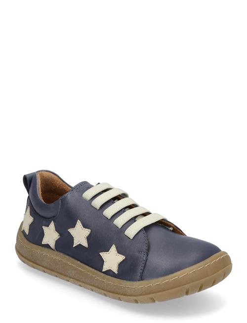 ANGULUS | Shoes - Flat - With Lace | 29