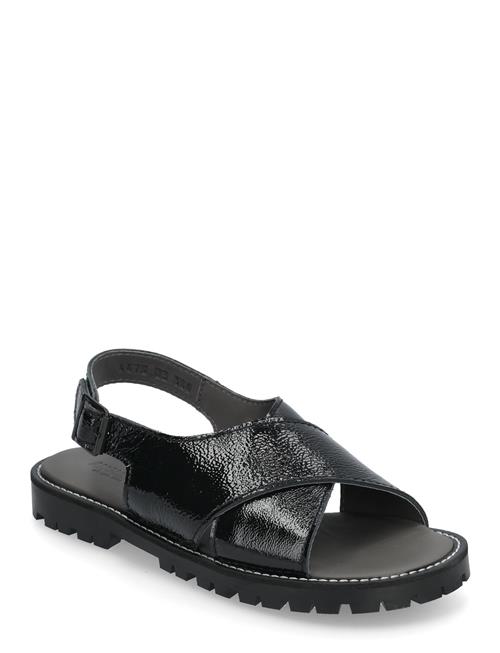ANGULUS | Sandals - Flat  - Open Toe - Op | 37