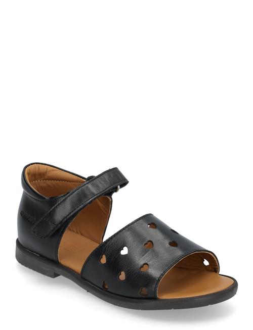 ANGULUS | Sandals - Flat  - Open Toe - Op | 32
