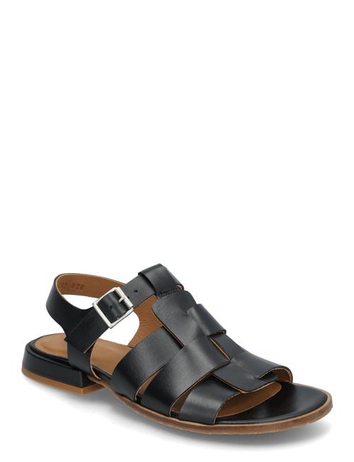 ANGULUS | Sandals - Flat  - Open Toe - Op | 39.5