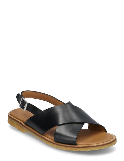 ANGULUS | Sandals - Flat  - Open Toe - Op | 39.5