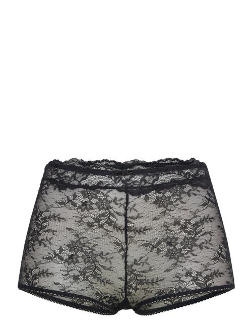 Dorina | Origins Boyshorts | S
