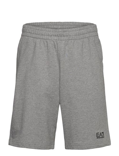 EA7 | Shorts | XS