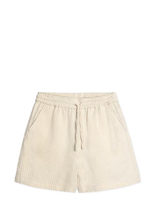 Woodbird | Wbbommy Wee Shorts | M