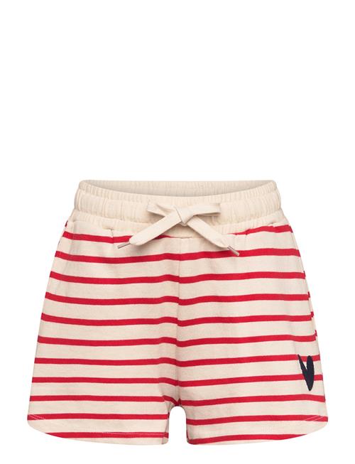 The New | Tnnil Shorts | 110/116