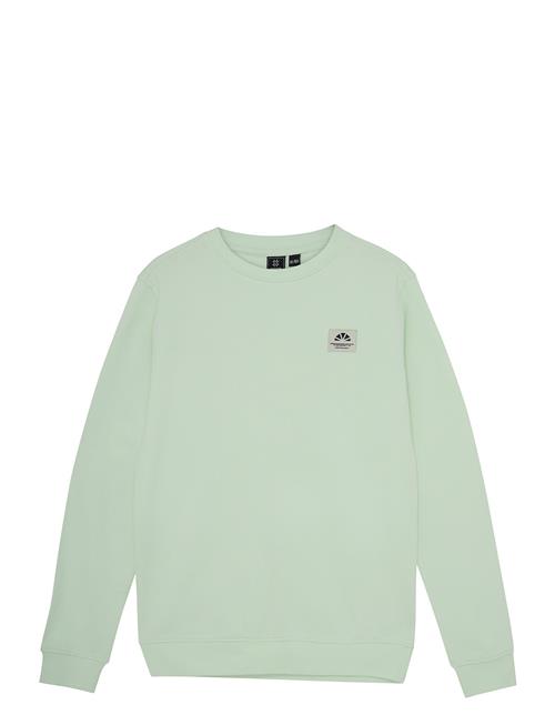 Indian Blue Jeans | Sweater Backprint | 110