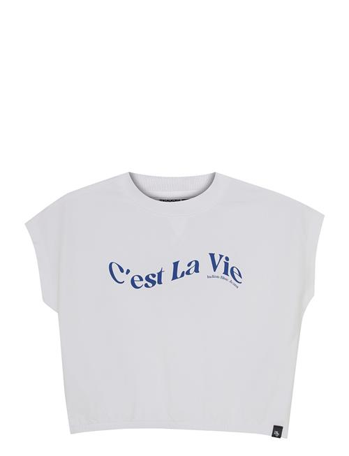 Indian Blue Jeans | T-Shirt Wide Cropped | 128