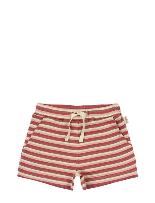 Petit Piao | Shorts Modal Multi Striped | 68