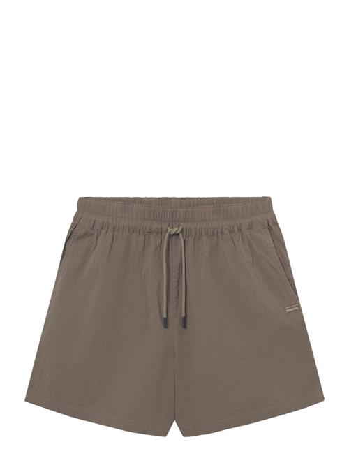 Rethinkit Studios | Shorts Wood | XS