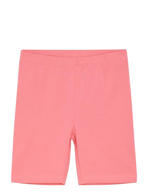 Minymo | Leggings Short | 98