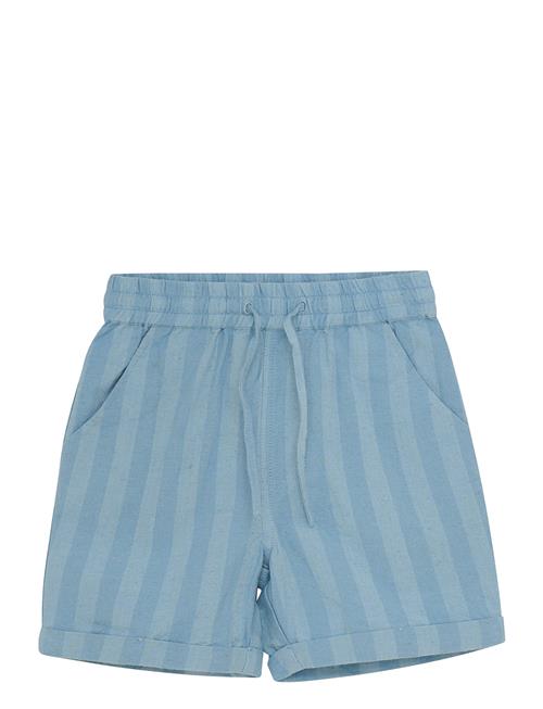 Daily 7 | Shorts Big Stripe | 116