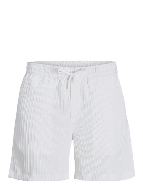 Jack & Jones | Jpstjaiden Massimo Jogger Shorts Srt | S