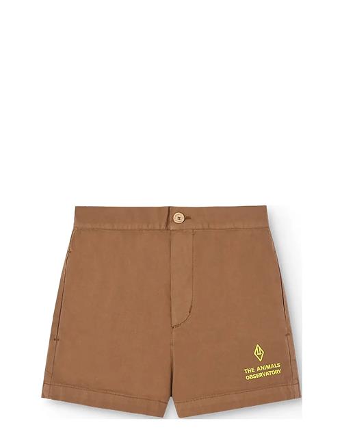 THE ANIMALS OBSERVATORY | Pig Kid Shorts Brown | 6 Y