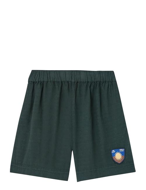 THE ANIMALS OBSERVATORY | Bee Kid Bermuda Shorts Deep Green | 6 Y