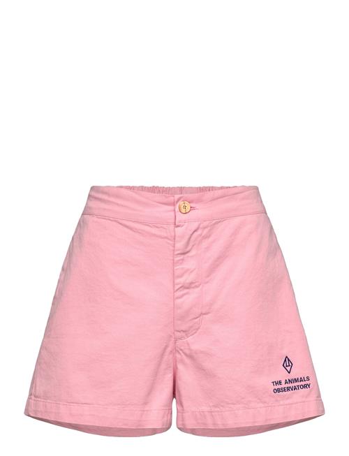 THE ANIMALS OBSERVATORY | Pig Kid Shorts Pink | 10 Y