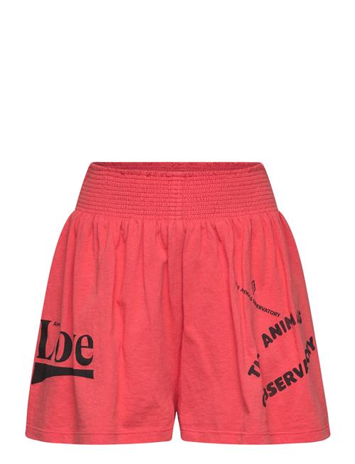 THE ANIMALS OBSERVATORY | Ostrich Kid Shorts Red | 6 Y