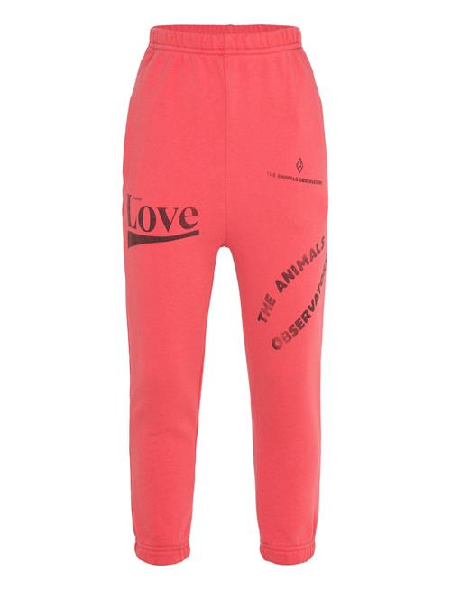 THE ANIMALS OBSERVATORY | Dromedary Kid Sweatpants Red | 10 Y